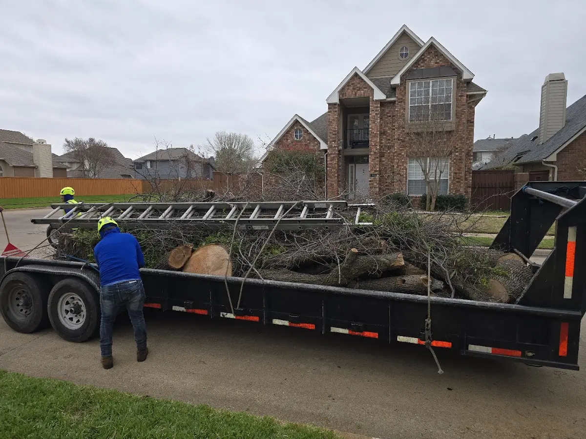 Expert Tree Removal with proper safety equipment in Franklinton